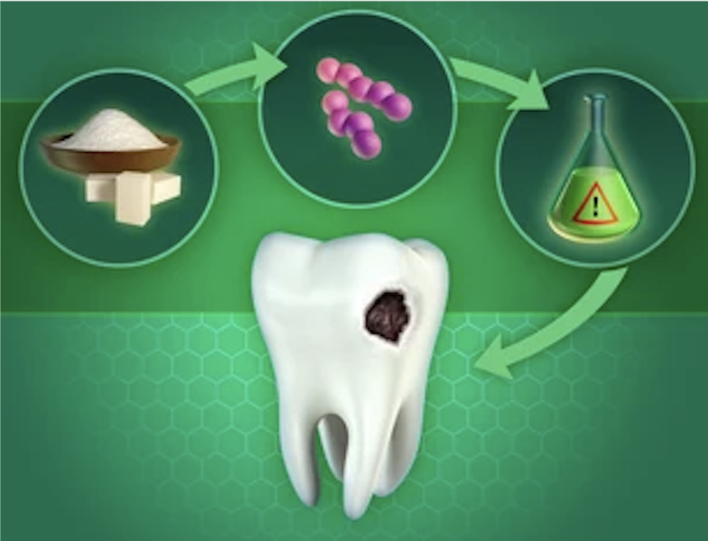 The IgA Sentinel: Your Mouth’s Border Patrol