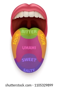 How Taste Affects Your Dental Health
